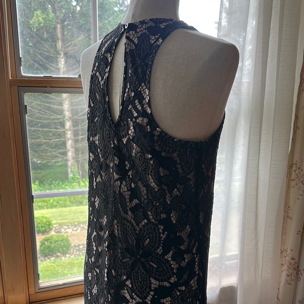 Express- NWT: Elegant Black Lace Dress - Picture 7 of 16